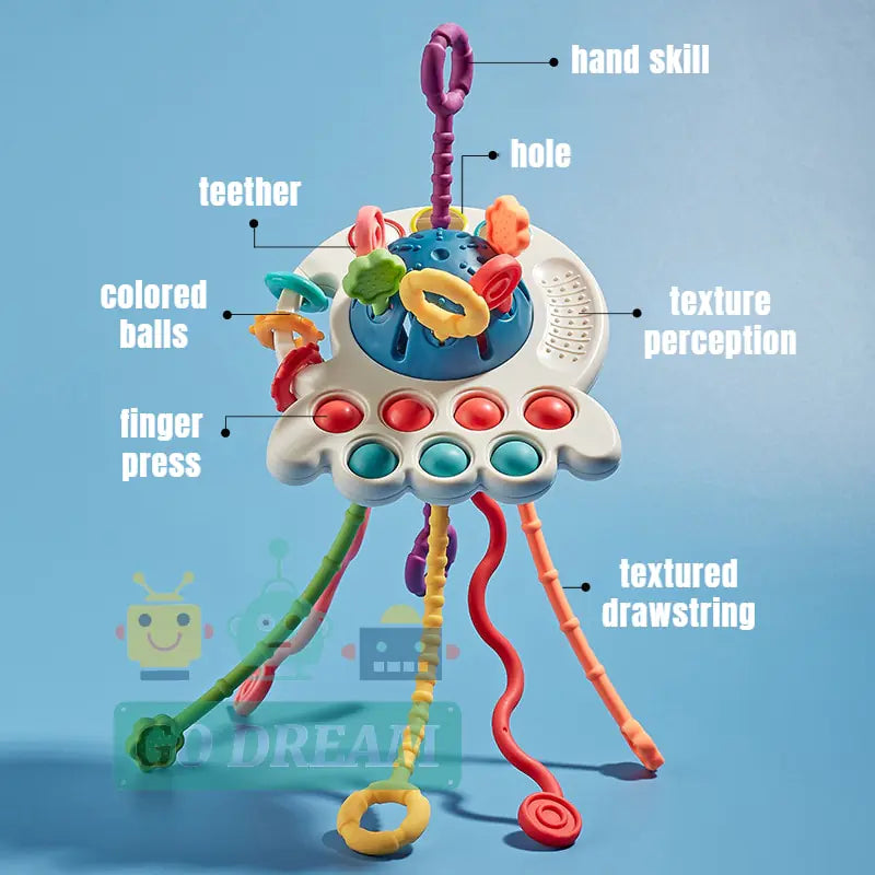 Baby's Montessori Sensory Toys